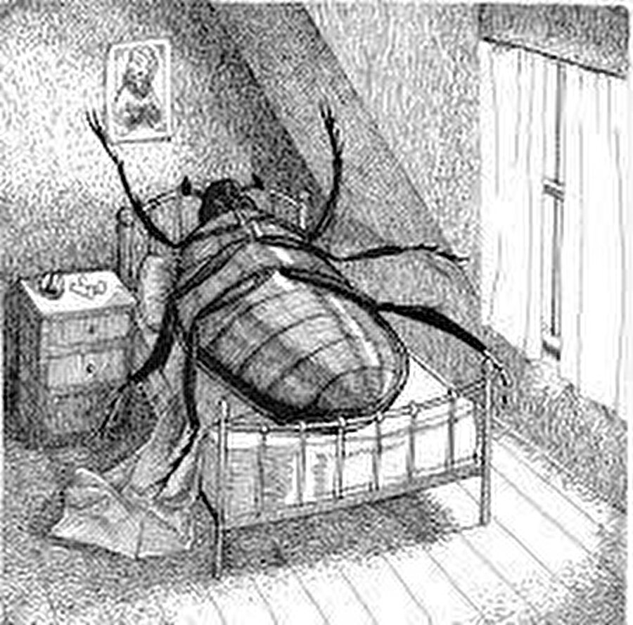 Bir de utanmadan bir sürü hamam böceği resmi koymuşlar broşüre.