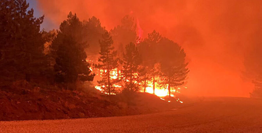 Denizli'deki orman yangınından görüntü