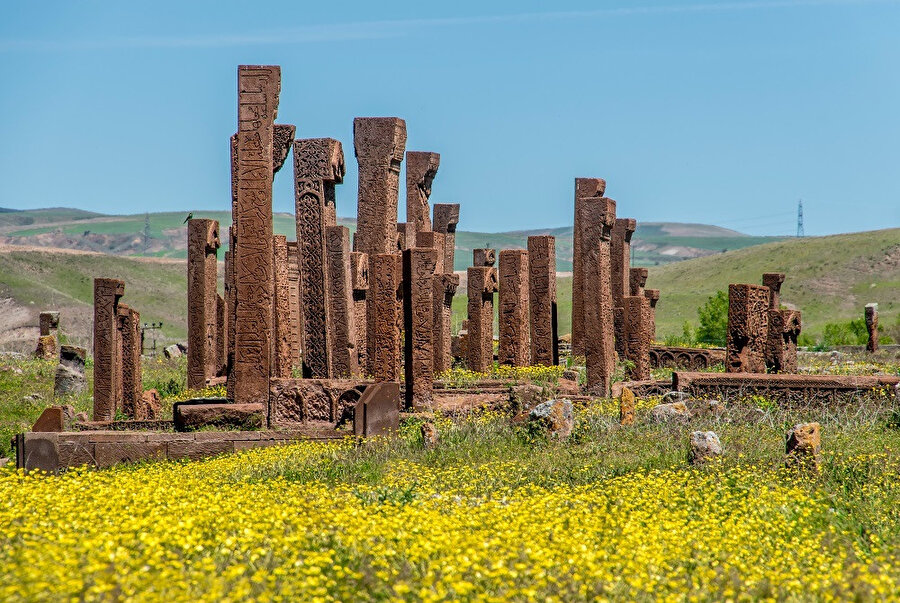 Ahlat şehri, tarihi mezarlıklarıyla ön plana çıkan bir ilçedir. Selçuklu döneminden kalan mezar taşları Türk tarihi açısından önemli bir değere sahiptir.