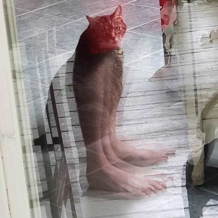 Akılları yerinden fırlatan fotoğraflarda bugün