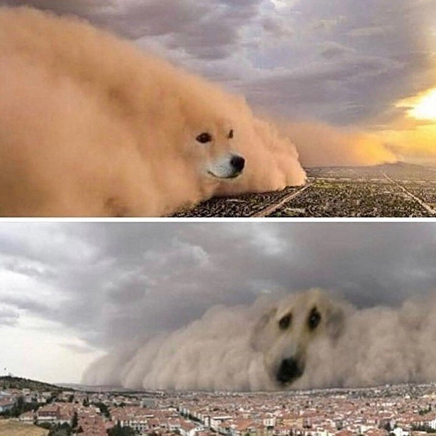 ​Onlarda kum fırtınası/ Bizde kum fırtınası