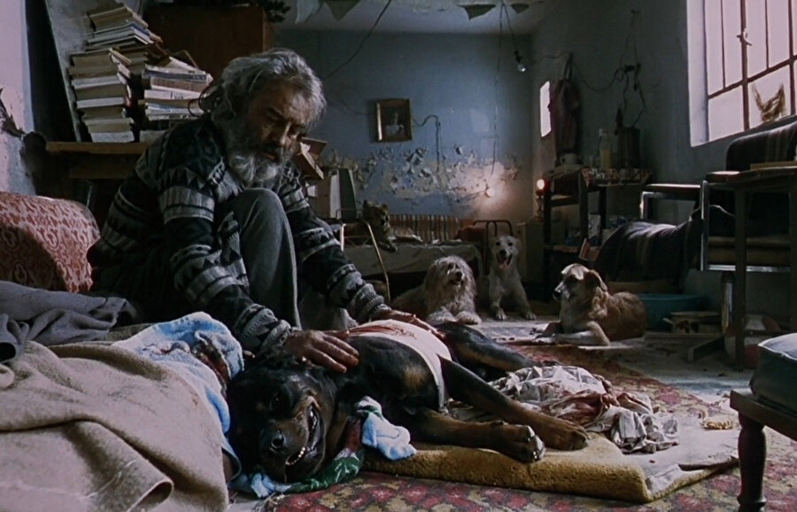 Amores Perros (2000)