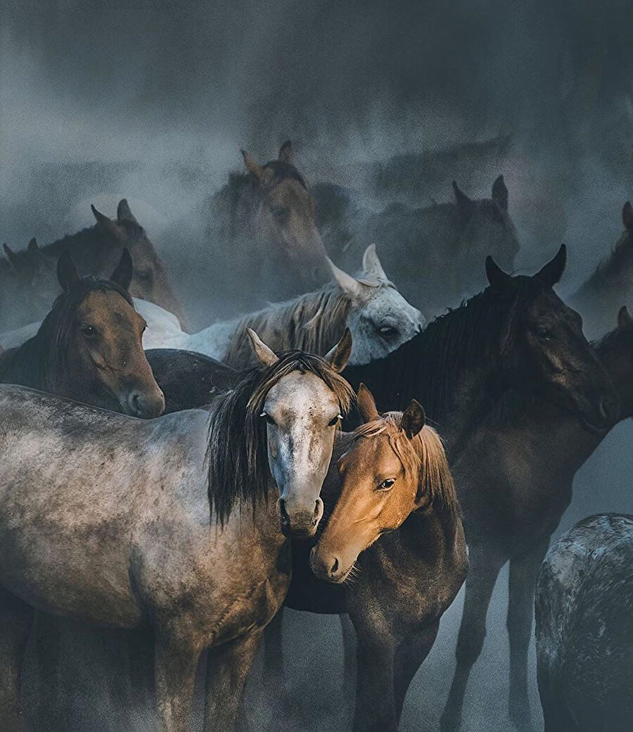 Zamana canlılık kazandıran fotoğraf sanatçısı: Hüseyin Taşkın 📸