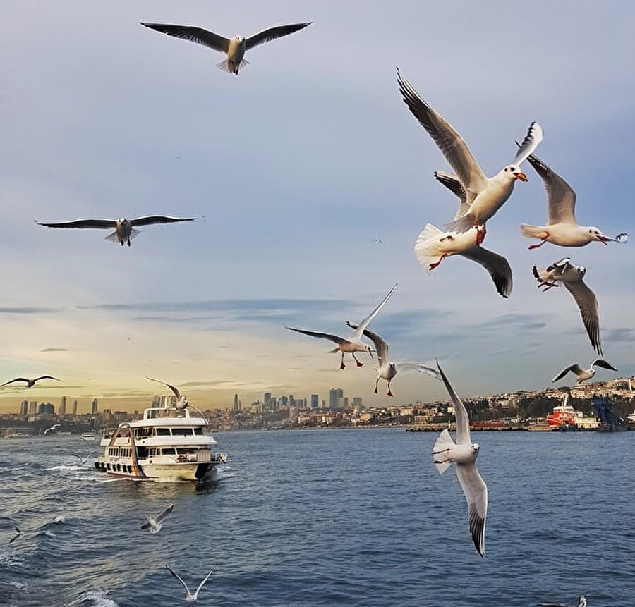 İstanbul'un Asya yakasında bulunan Kadıköy lahmacun, zeytin, midye gibi yiyeceklerin satıldığı hareketli balık ve gıda pazarıyla ünlüdür.