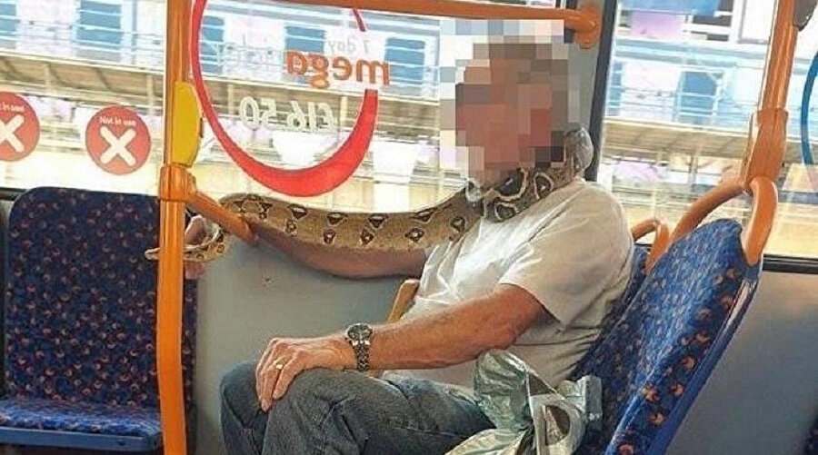 Yılanı maske gibi saran yolcu