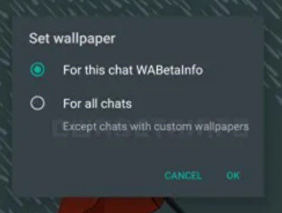 WhatsApp, duvar kağıdını değiştirmek isteyen kullanıcılara iki farklı seçenek sunuyor. 