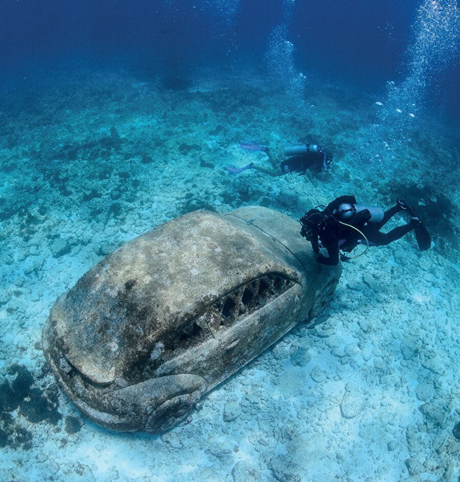 Cancún Sualtı Müzesi, Meksika'nın Cancún şehrinde bulunan ve koruma sanatına adanmış, kar amacı gütmeyen bir kuruluştur. 