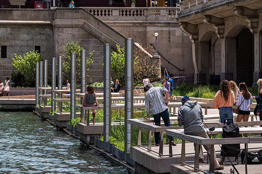 Jetty'nin yüzen sulak alanları, Chicago Nehri'nin yerel balık popülasyonu için sağlıklı bir yaşam alanı ve ziyaretçilerin su ekosistemini gözlemlemesi ve onunla etkileşime girmesi için eğitim ve eğlence fırsatları sağlıyor.