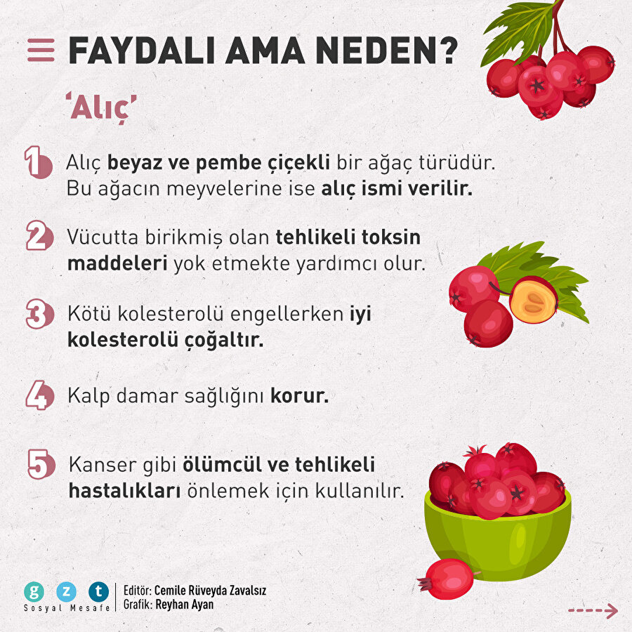 'Faydalı ama neden?: Az bilinen faydalı meyve önerileri