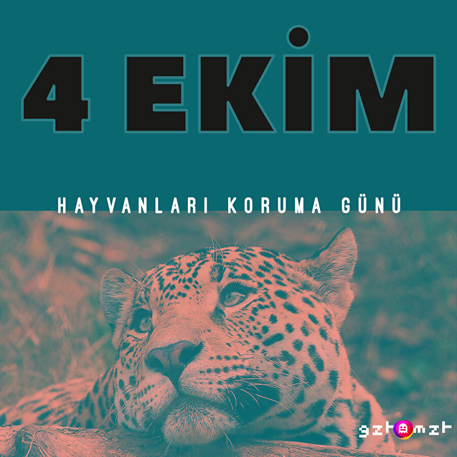 ​Dünyamızı paylaştığımız can dostlarımızı koruyalım