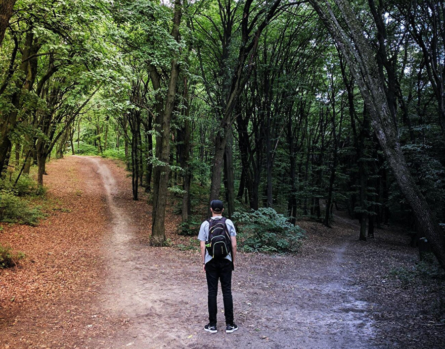 Efendisi olmaktan memnun kaldığımız ve özgür hissettiğimiz &quot;seçme eylemi&quot;, alternatiflerin bolluğu ile artık bir eziyete dönüşüyor ve zaman yiyen bir yaratık gibi tüm saatlerimizi tüketiyor.