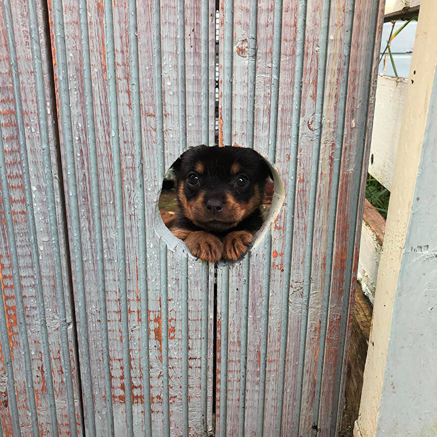 Annem yemeğe çağırmıştır 😍