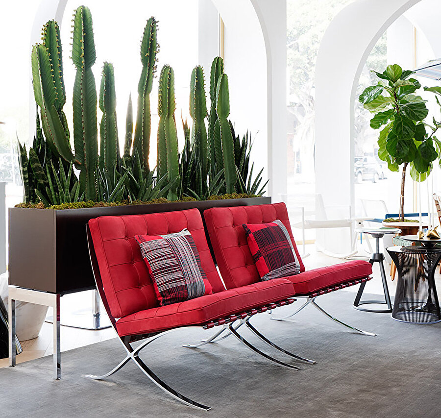 Knoll tarafından üretilen Barselona Chair farklı renk seçeneklerine sahip.