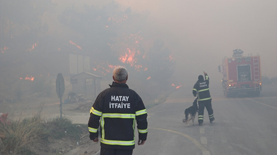 Hatay'daki orman yangınını söndürme çalışmaları devam ediyor