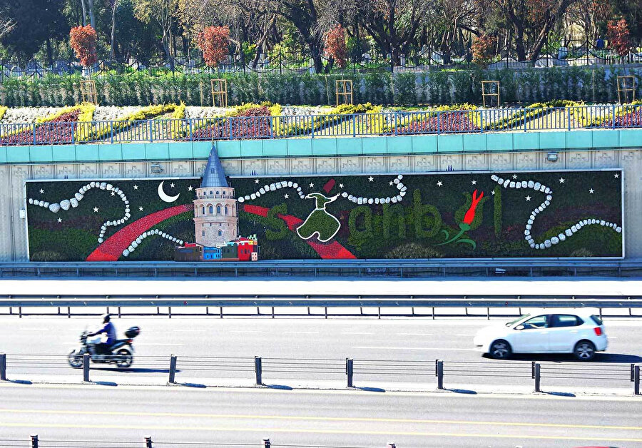 🌳Dikey bahçeler yararlı mı, zararlı mı?