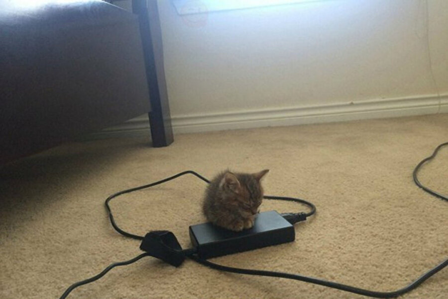 Yine sıcak yer bulmuşlar​