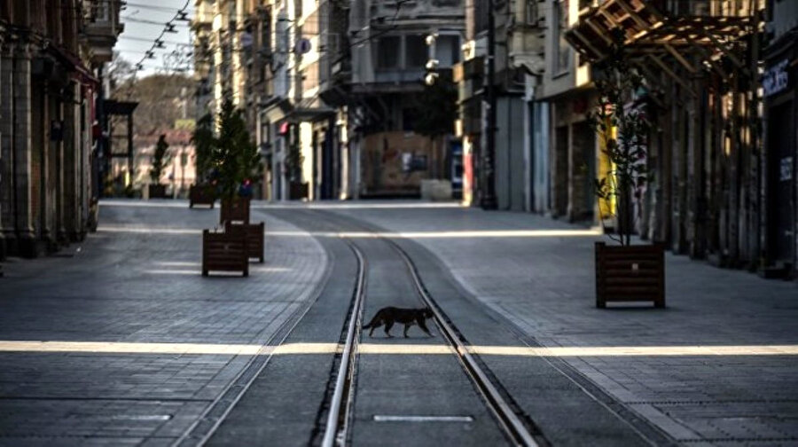 Arşiv