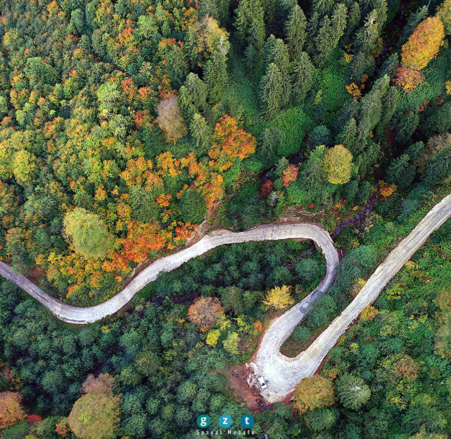 Örümcek Ormanları güz renkleriyle büyülüyor