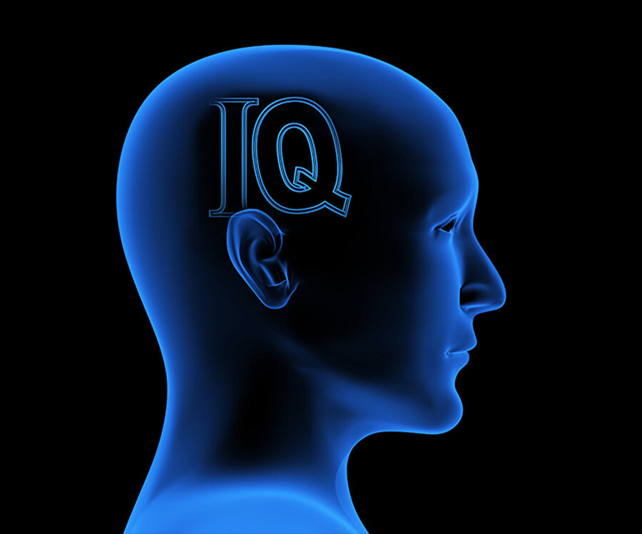 Обучение iq. Интеллект айкью. IQ мозг. Люди с низким интеллектом. IQ Эйнштейна.