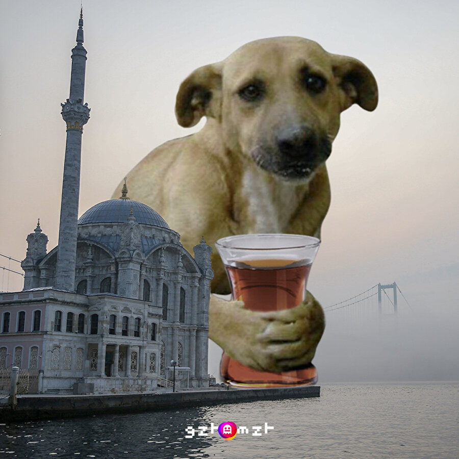 ​İstanbul'u sis kaplayınca kaptık bardağımızı; indik boğaza, yudumladık çayımızı...