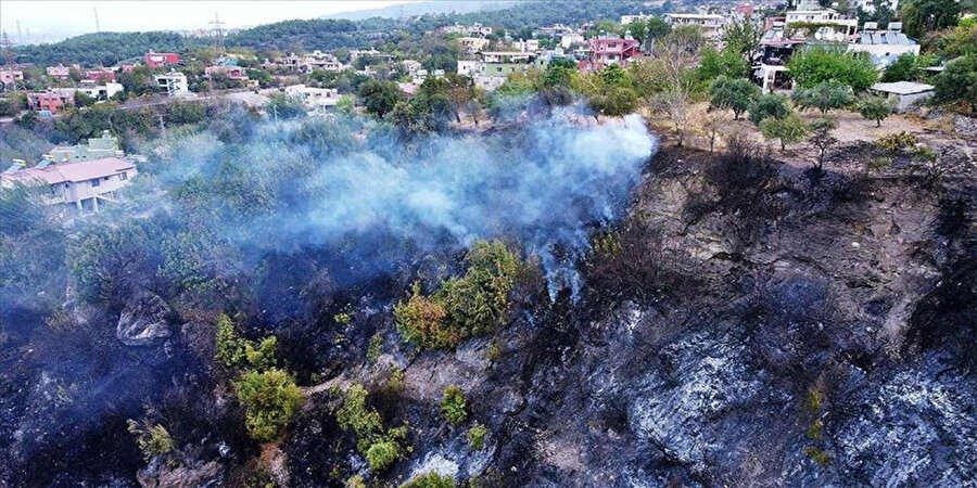 Hatay'daki yangının verdiği zarar gün ağarınca ortaya çıktı