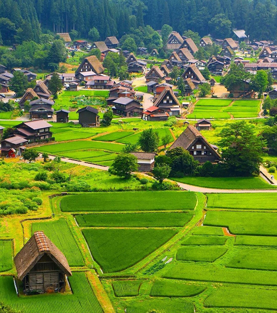Burası Japonya’da bir köy, Shirakawa-Go! ☀🌿