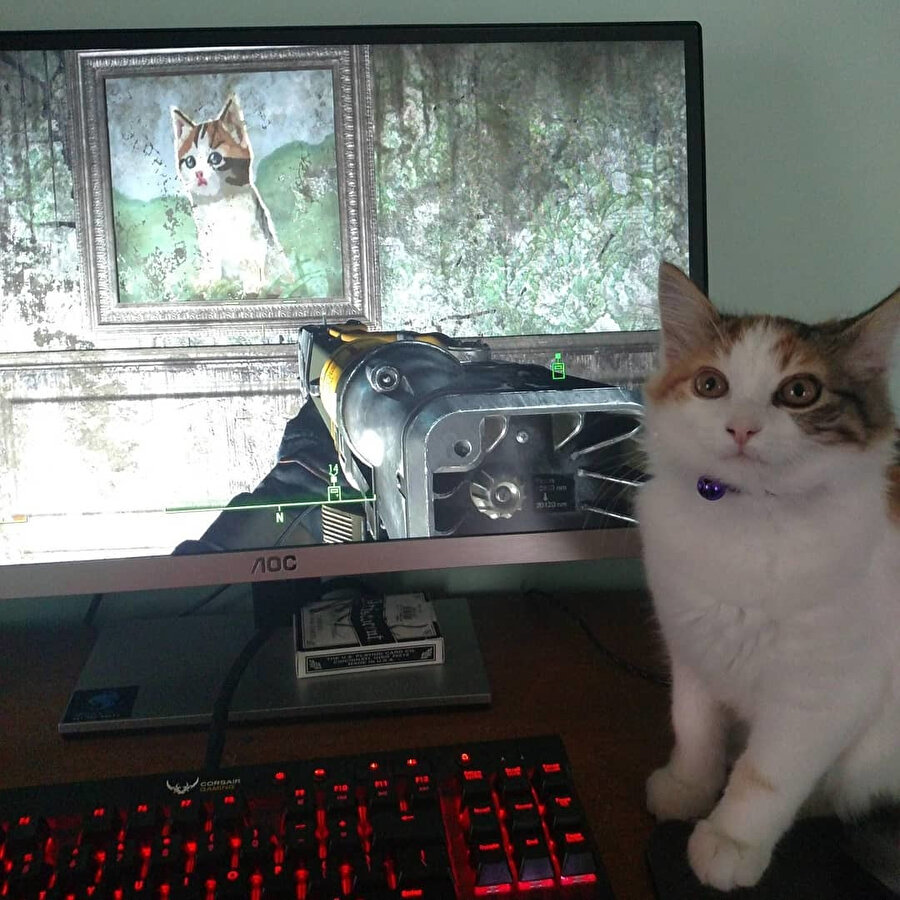 Beklenmedik denk gelişlerde bugün