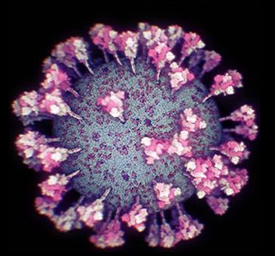 Koronavirüs görüntüsü