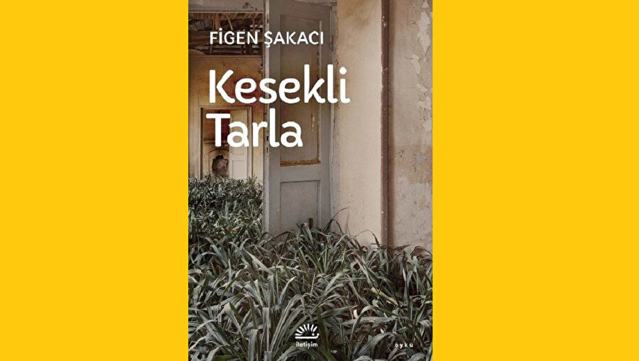Kesekli Tarla