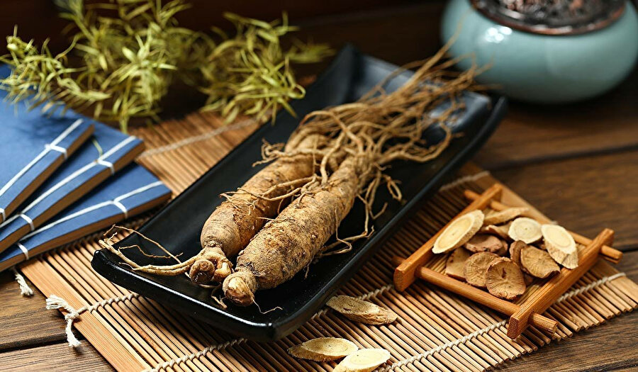 Ginseng bitkisi