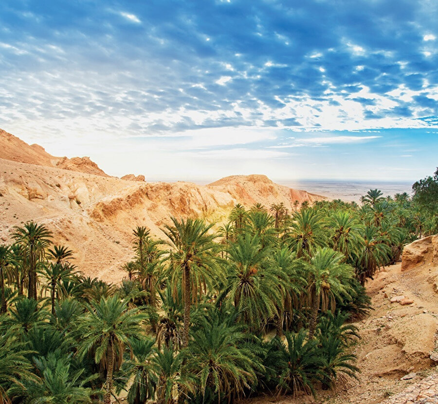 Çöller birer ekosistemlerdir ve çöl atmosferinin düşük nemliliği gece ve gündüz arasında çok büyük sıcaklık farklarının oluşmasına neden olur.