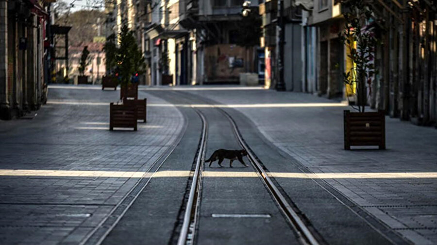 Koronavirüsle mücadelede yeni dönem başladı: İşte 7 yeni tedbir