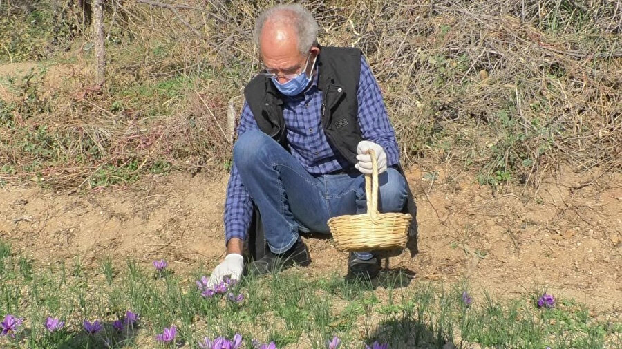 Emekli olduktan sonra denedi: Kilosunu 50 bin liraya satıyor