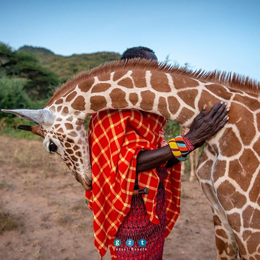 Dünyadan fotoğraflar 🌎