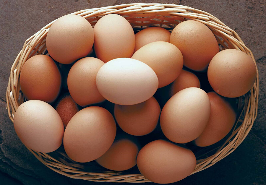 yumurta cikmazi dogal yumurta ya da organik yumurta ne anlama geliyor