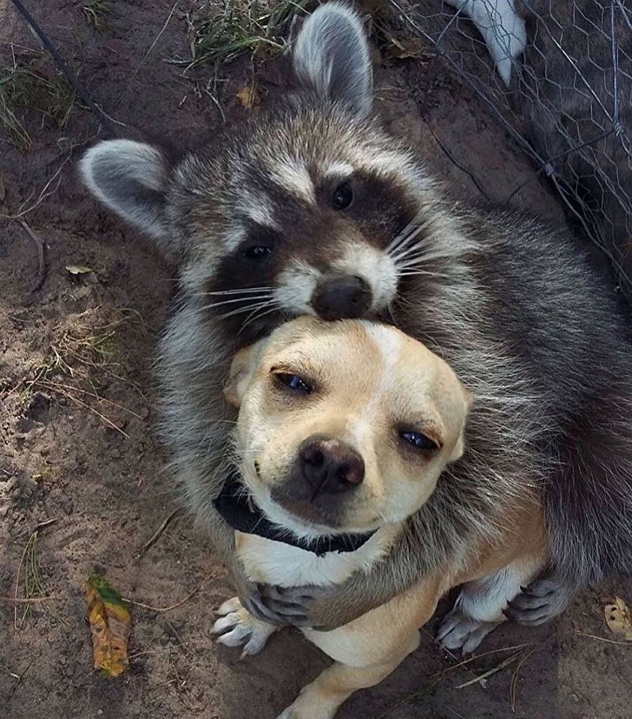 Beklenmedik dostluklarda bugün