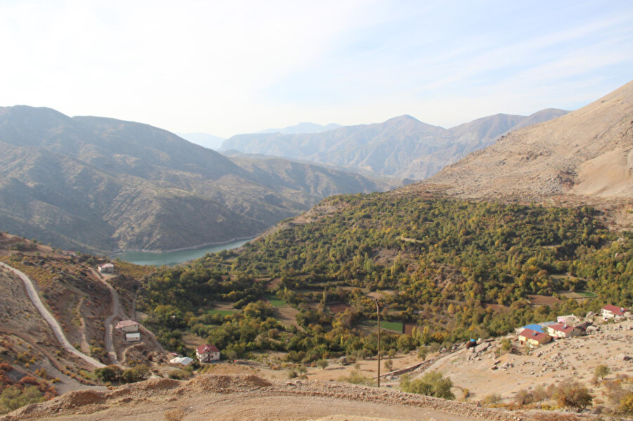Diyarbakır'ın 'Küçük Antalya'sında her çeşit meyve yetişiyor