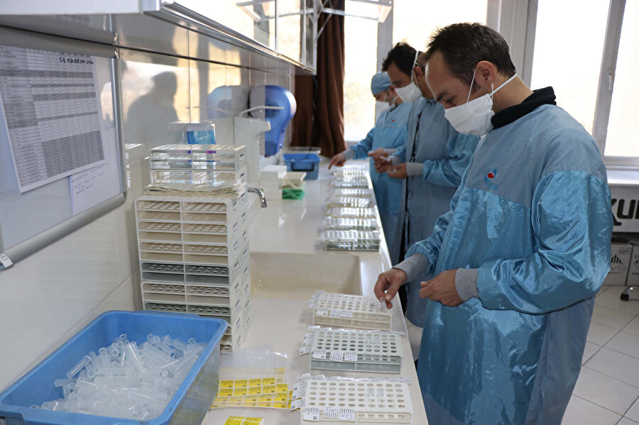 Erciyes Üniversitesi Aşı Araştırma ve Geliştirme Merkezi