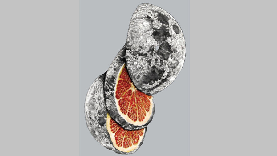 Ellerimin çizgilerinden çoğaldıkça çoğalıyor suyun zerreleri. Her yanım su, her şey su... 