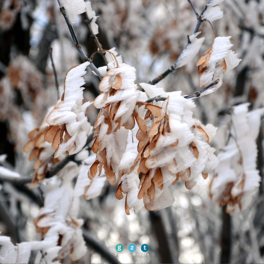 Bitlis'te sis ve kırağı 😍❄️