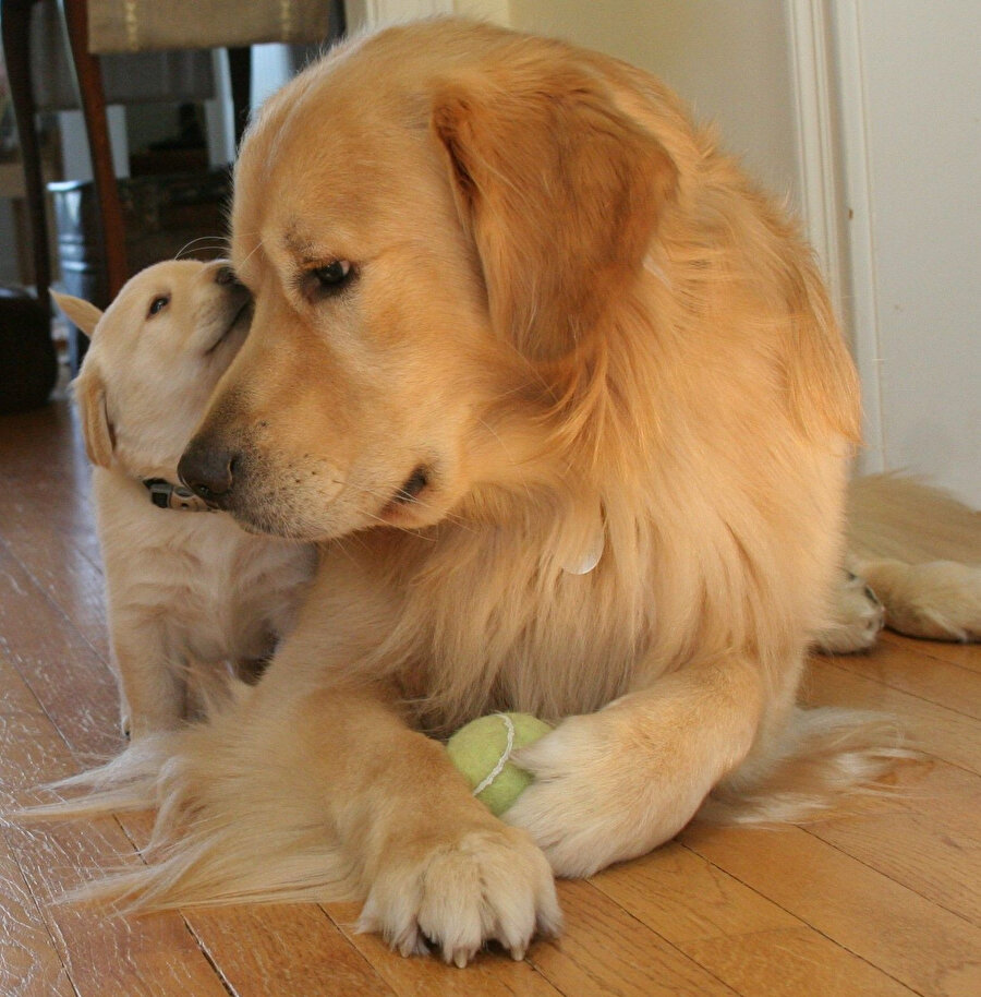 Havalar soğuduysa, içler biraz ısınsın