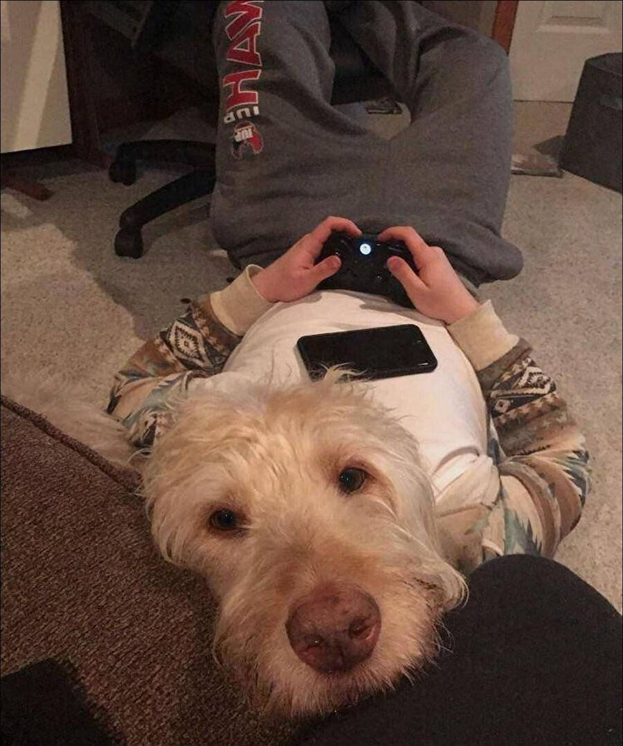 Sol kanada kimi alayım?