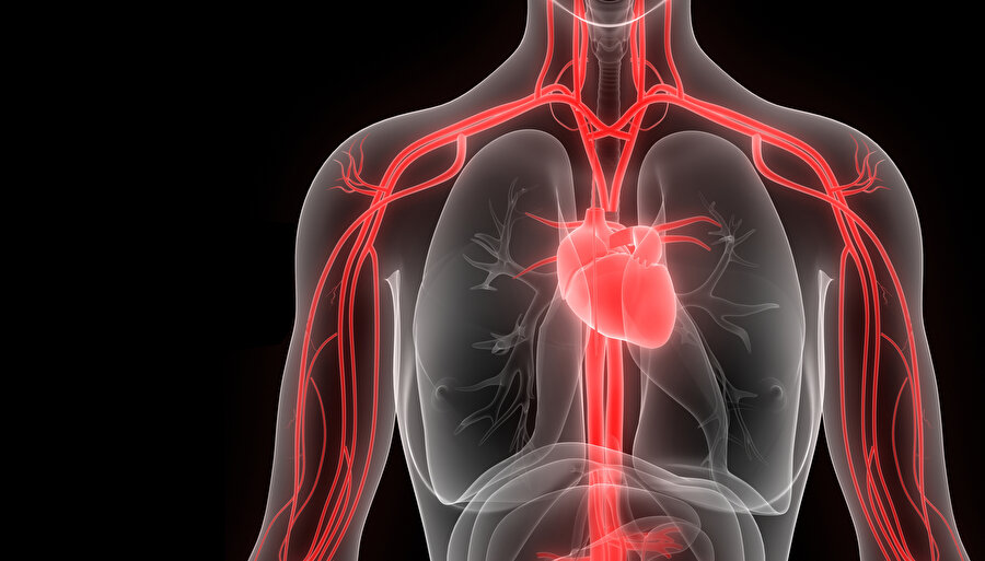 Şimdi herkes aşılara yönlendirilirken, acaba kovid-19’a yakalanıp tedavi gören veya farkında olmadan atlatanların sperm ölçümleri yapılsa karşımıza hangi netice çıkacak? Çin’de yapılan ölçümler, bu virüsün erkekleri özellikle de gençleri kısırlaştırdığını gösteriyor. Bu virüse daha çok erkeklerin ve toplumda en çok görülen A kan grubu taşıyıcılarının yakalanması da mı tesadüf?