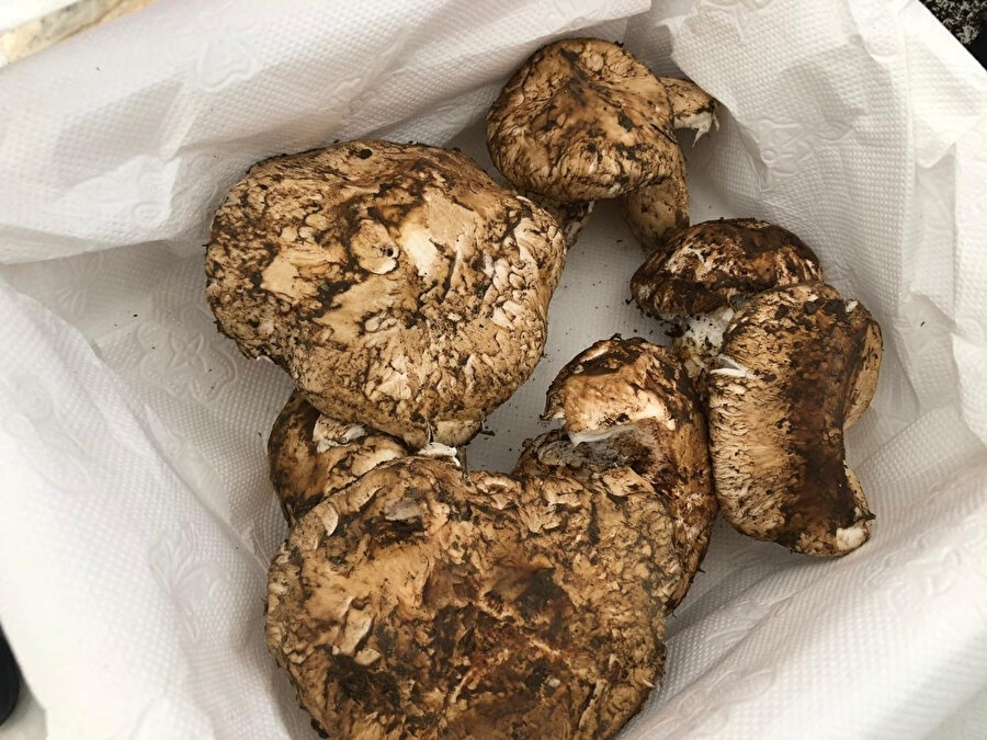 Türkiye’den 100 ton ihraç edildi: Japonya'da taneyle satılıyor