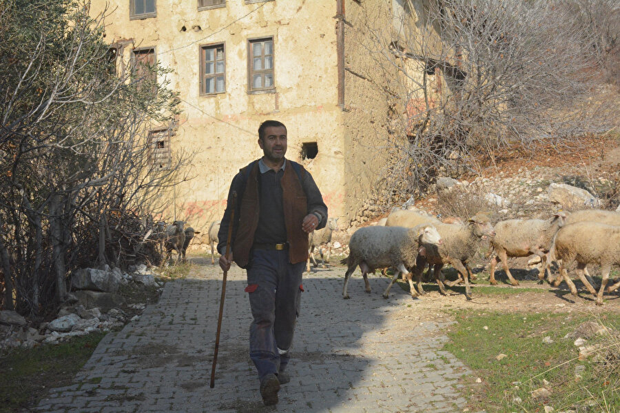 Yöneticiliği bırakıp, koronavirüsten kaçtı: 9 aydır köyde hayvancılık yapıyor