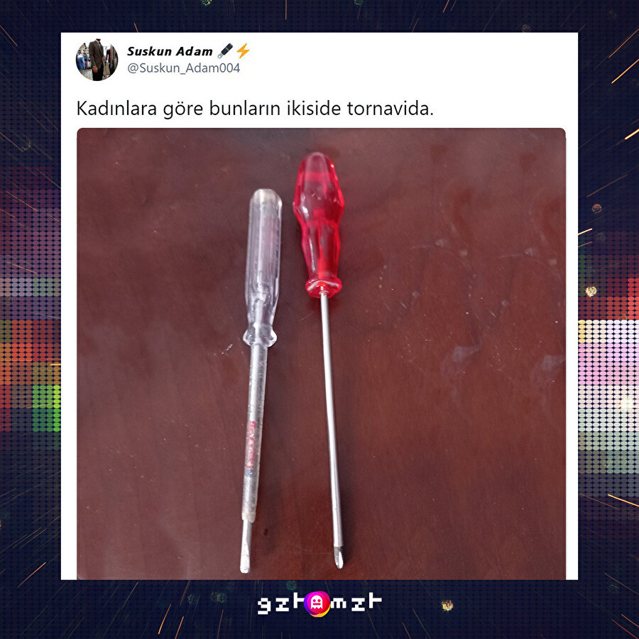 ​Yoo biri kırmızı diğeri de beyaz tornavida