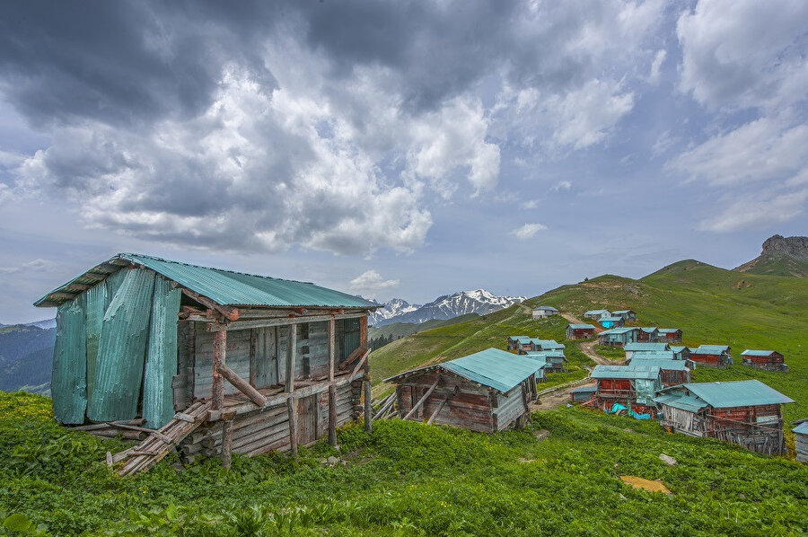 Artvin, Türkiye'nin Doğu Karadeniz Bölümü'nde yer alan, Karadeniz'e kıyısı bulunan bir ildir.