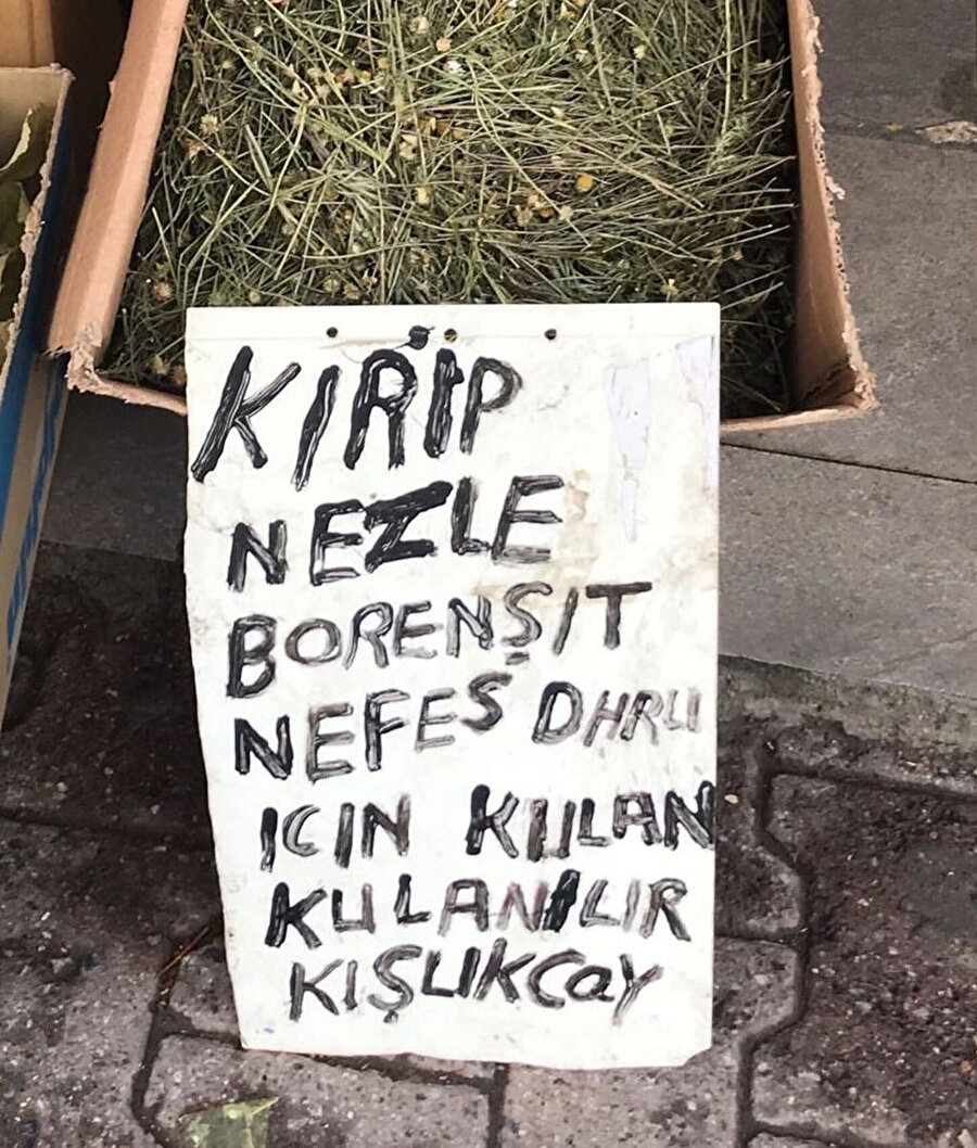 Görseli okumaya çalışırken Türkçe konuşmayı unuttum​