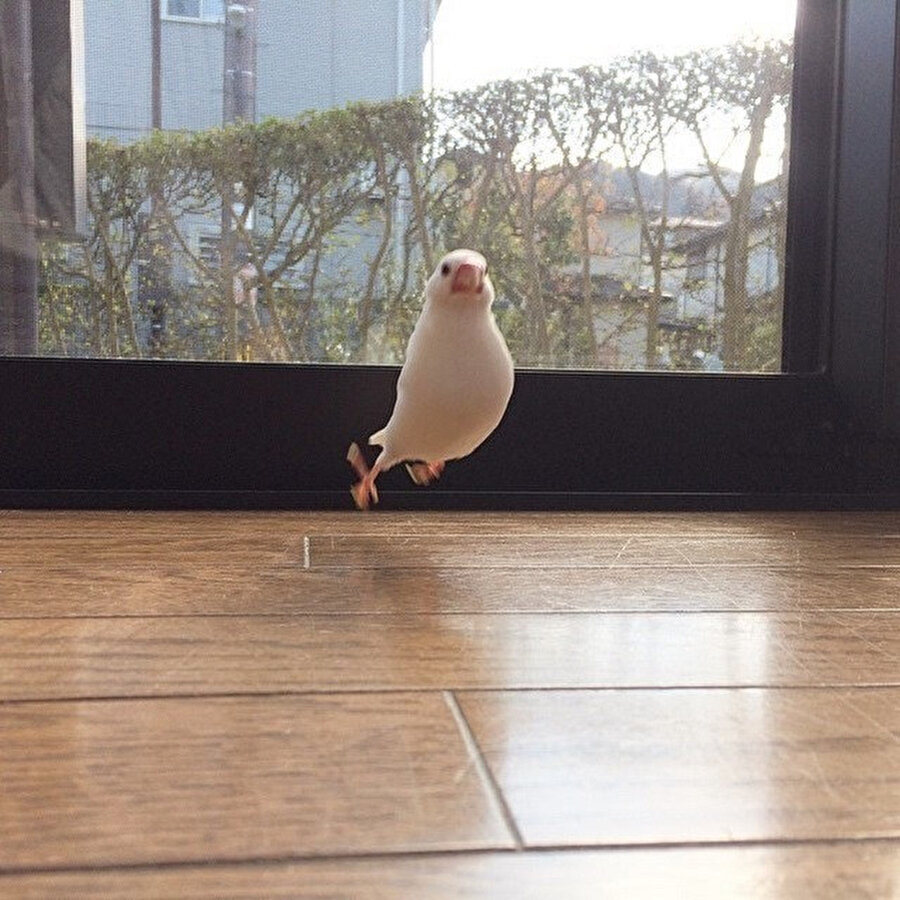 Ne bu sevinç, annen en sevdiğin yemeği mi yaptı?