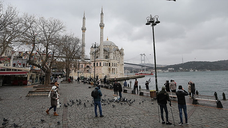 Arşiv